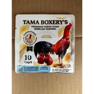 tama-boxerys-10-caps-pemanas-tubuh-ayam-sebelum-tanding
