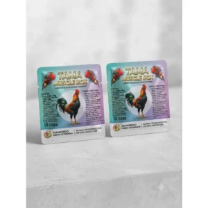 tama-muscle-box-10-caps-pertumbuhan-dan-pembentukan-otot-ayam